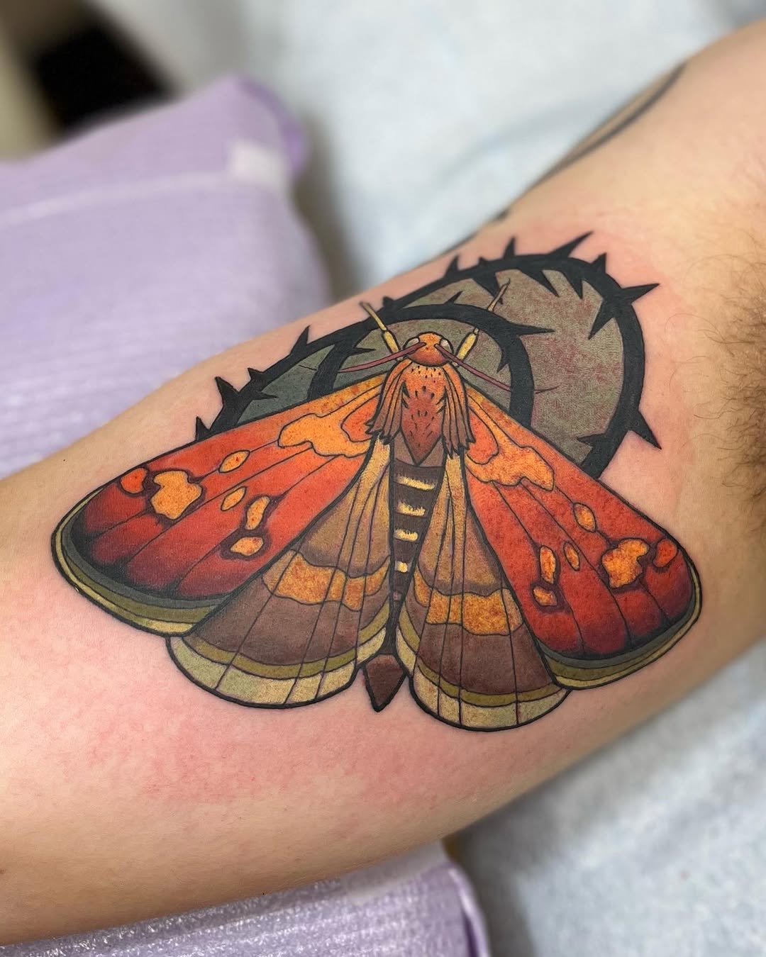 Tattoo by @meganmerrelltattoo — neo_traditional