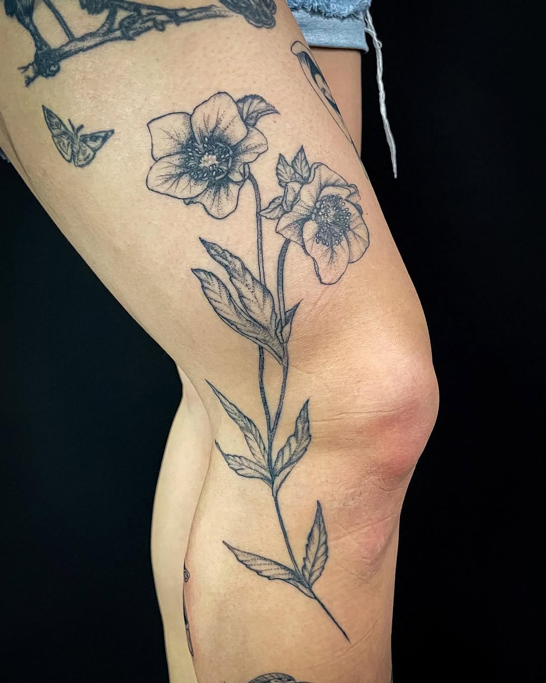 Tattoo by @thylacinetattoo — fine_line