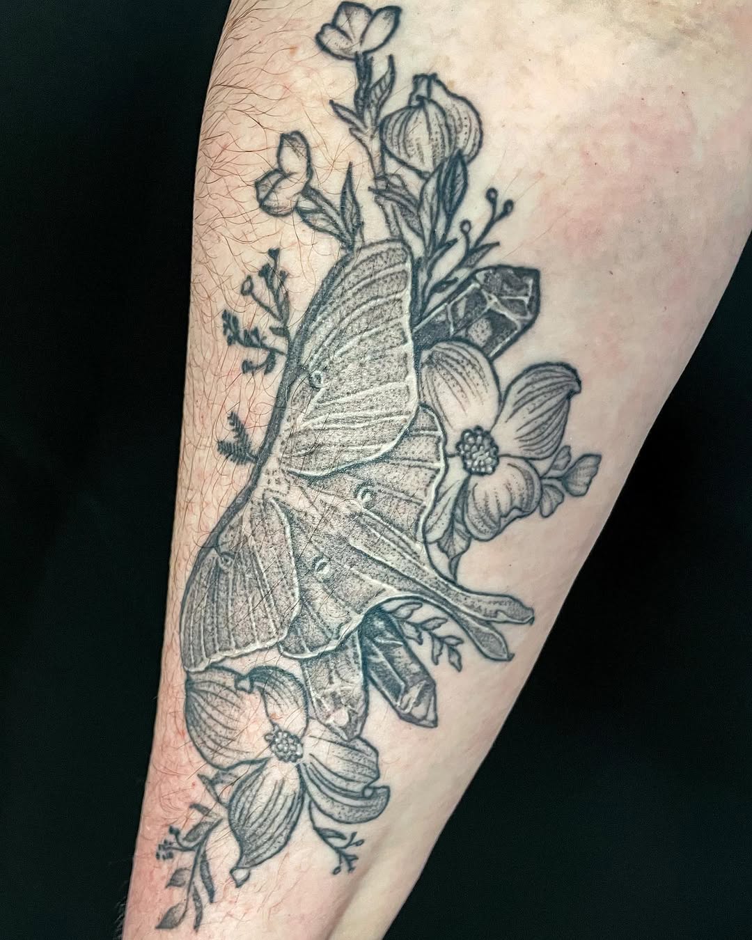 Tattoo by @thylacinetattoo — black_and_grey