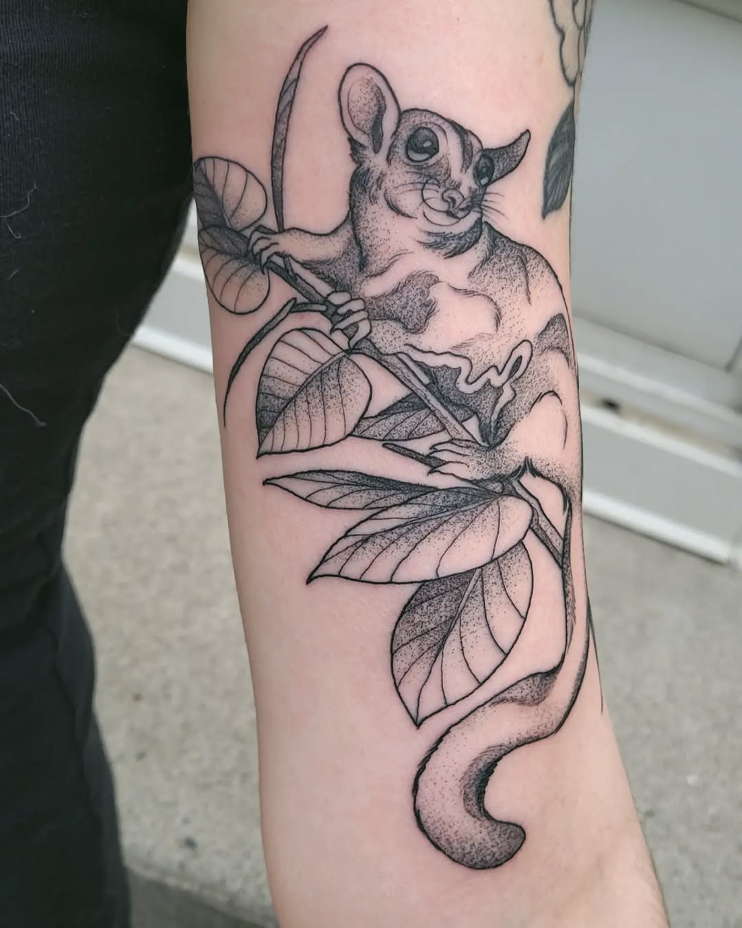 Tattoo by @melancholy.moth.tattoo — dotwork, black_and_grey