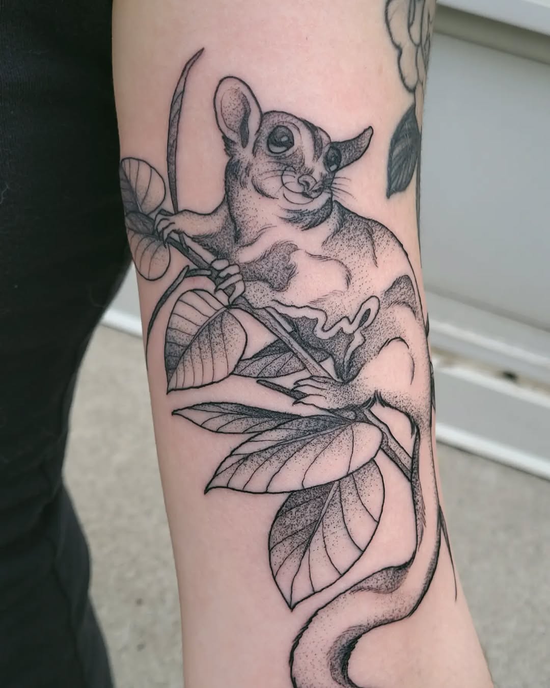 Tattoo by @melancholy.moth.tattoo — dotwork, black_and_grey