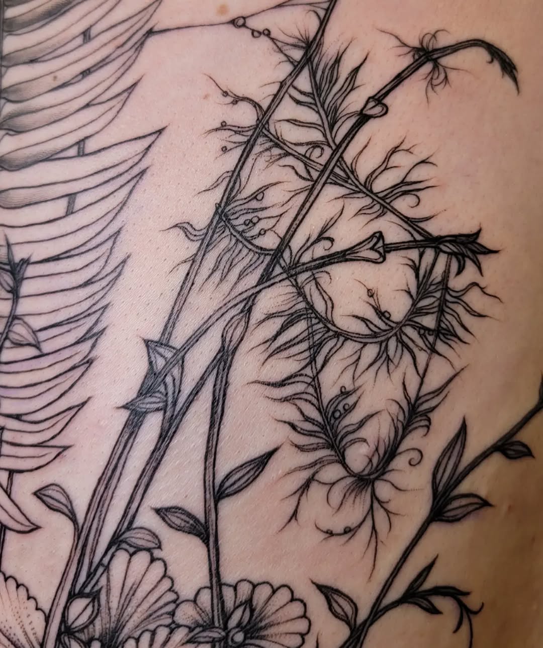 Tattoo by @cc_tattoos — fine_line, black_and_grey