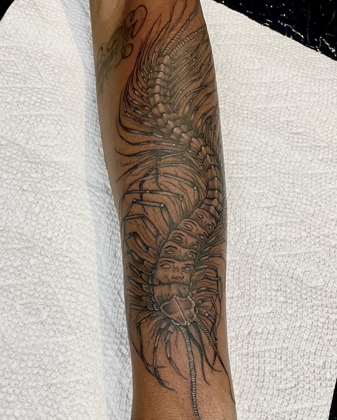 Tattoo by @l.sinatra__ — black_and_grey, dark_realism