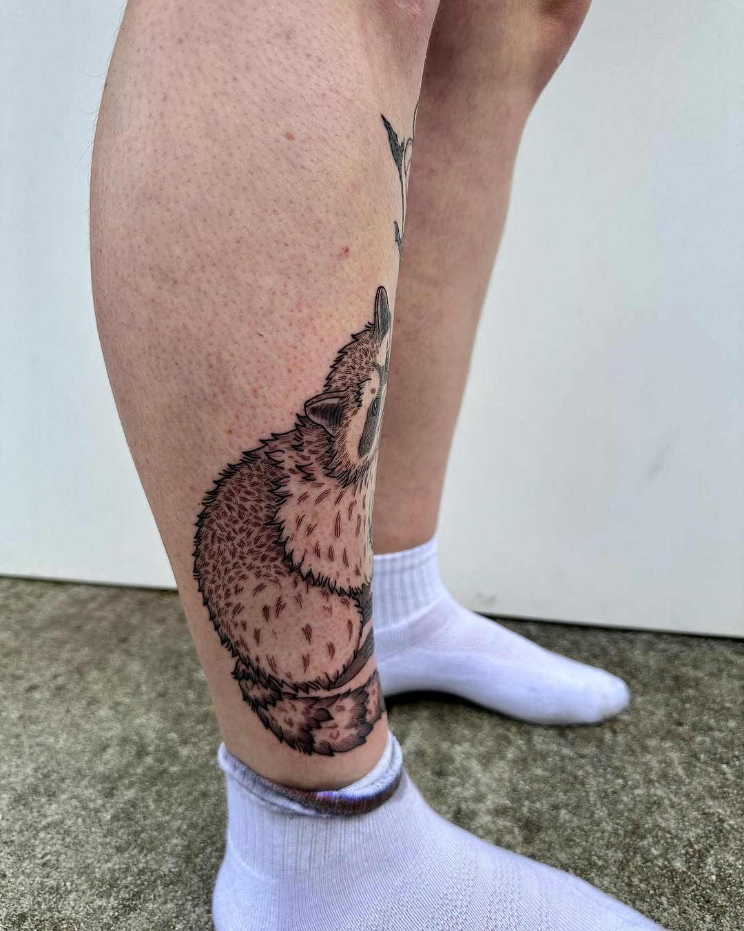 Tattoo by @drawingplantsandthings — black_and_grey