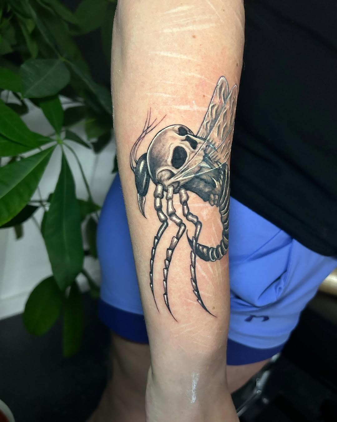 Tattoo by @antiart.inkz — dark_realism, black_and_grey