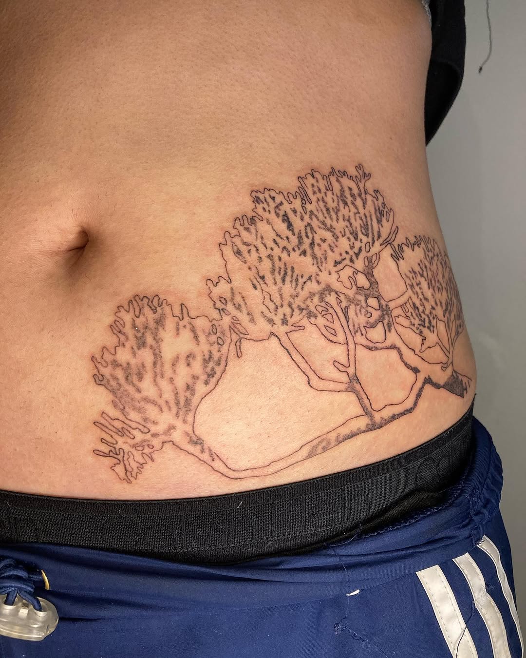 Tattoo by @lesser.burdock โ sketch