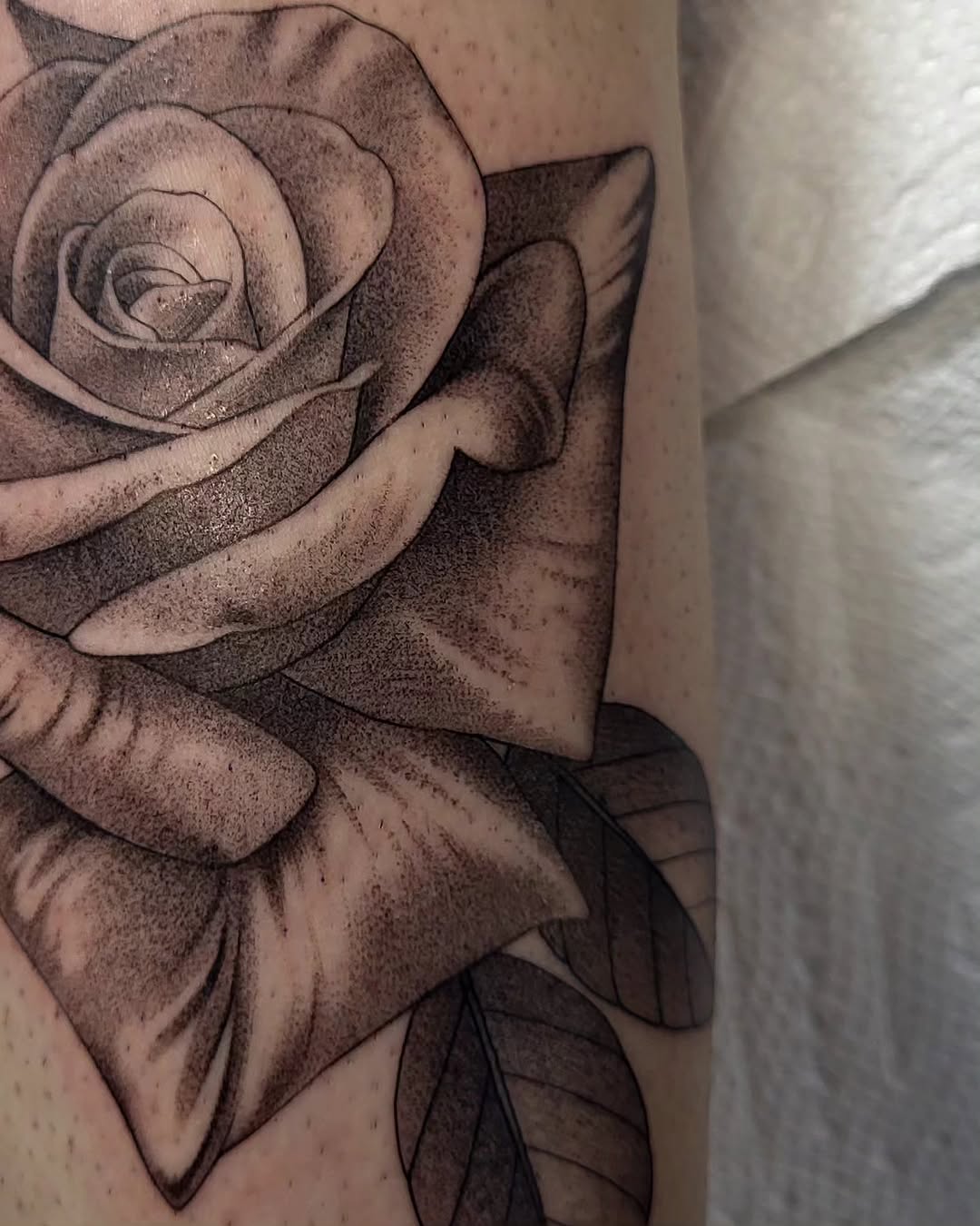 Tattoo by @jaclyngreb — dotwork, black_and_grey