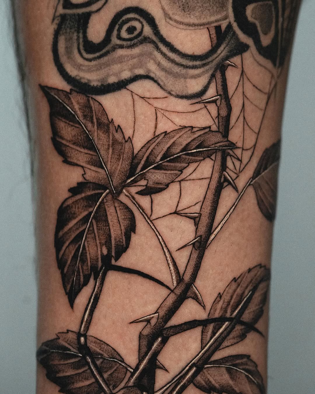 Tattoo by @bluebird.ink β black_and_grey, realism