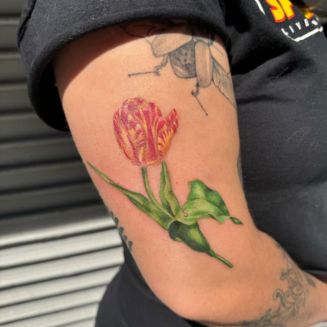 Tattoo by @enda_tattoo — realism, fine_line