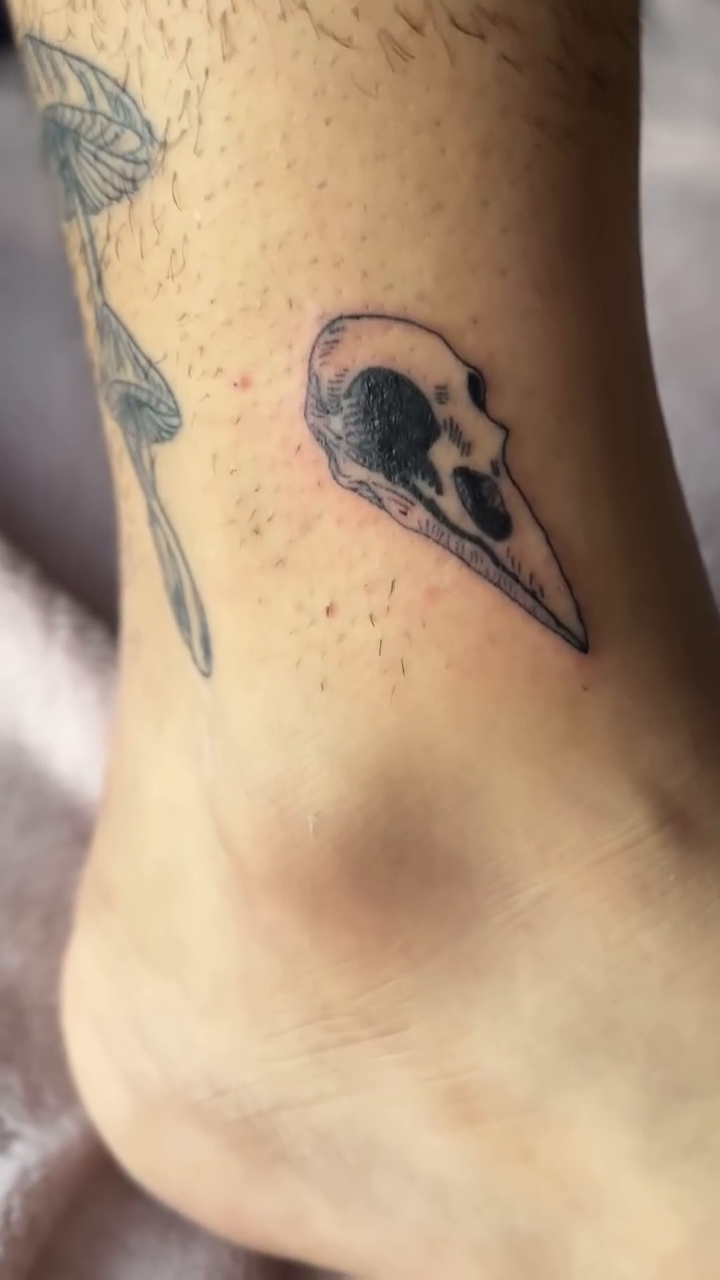 Tattoo by @dontattz — fine_line, black_and_grey