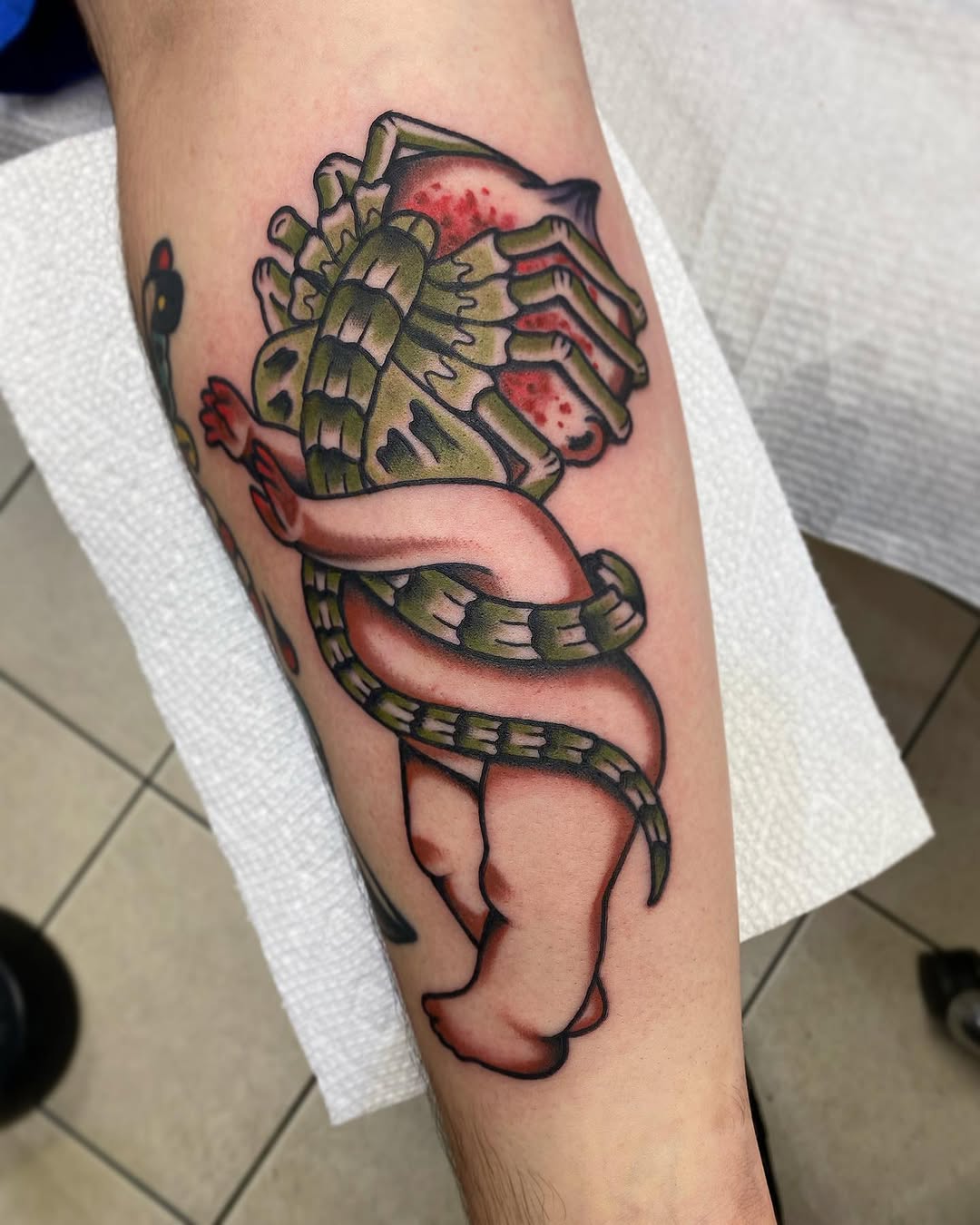 Tattoo by @kandarian.kola — american_traditional, illustrative