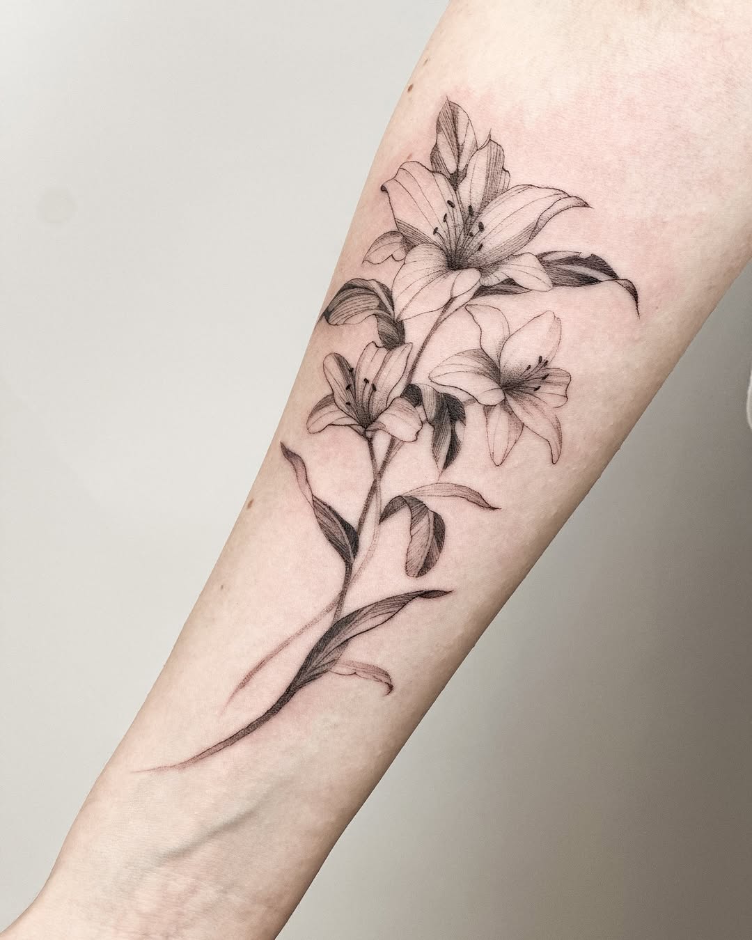 Tattoo by @beliv_ink β fine_line, black_and_grey