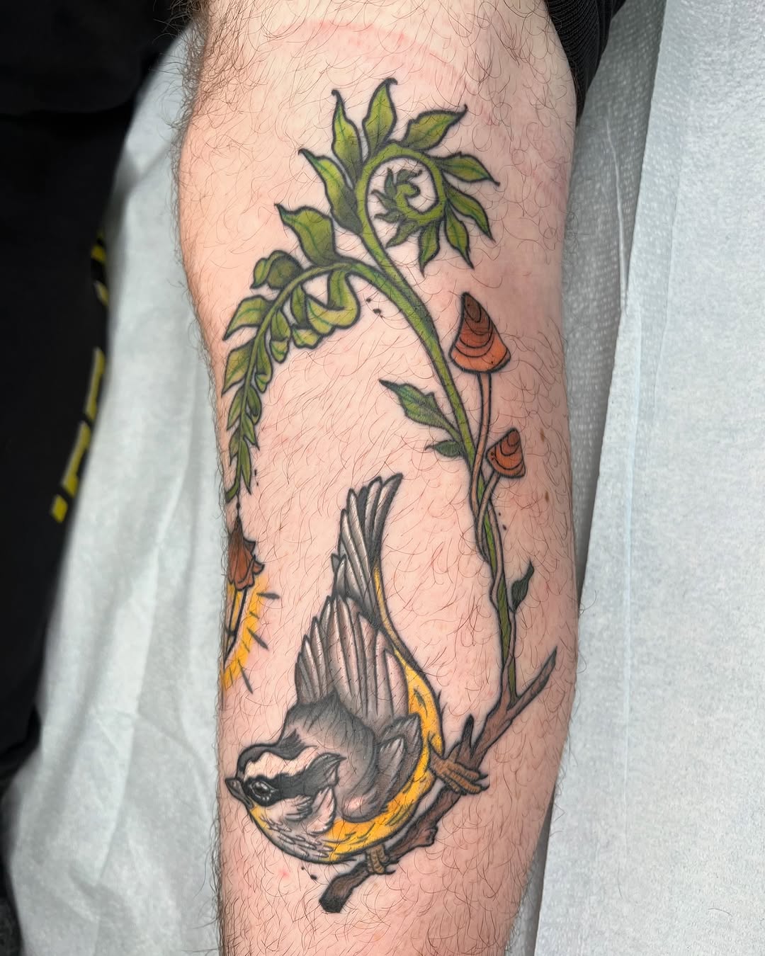 Tattoo by @snakesandseaweed β neo_traditional
