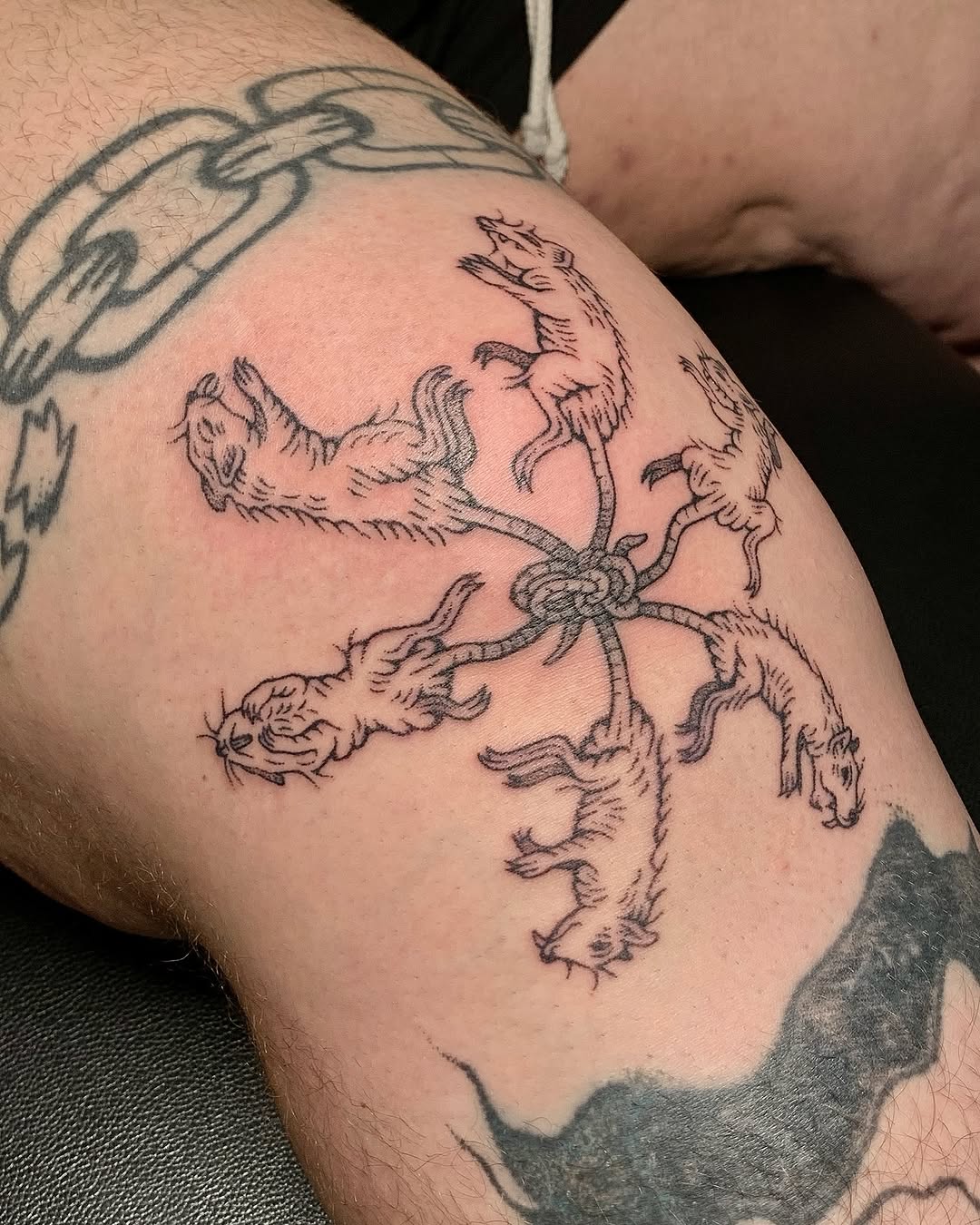 Tattoo by @softlyitkillstattoos — blackwork