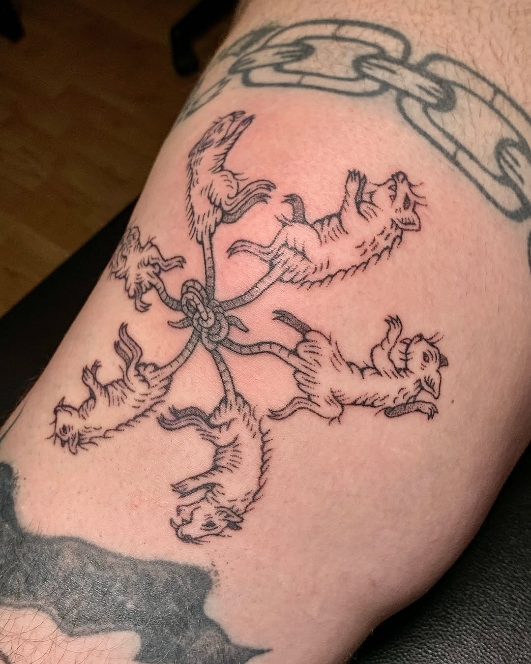 Tattoo by @softlyitkillstattoos — sketch