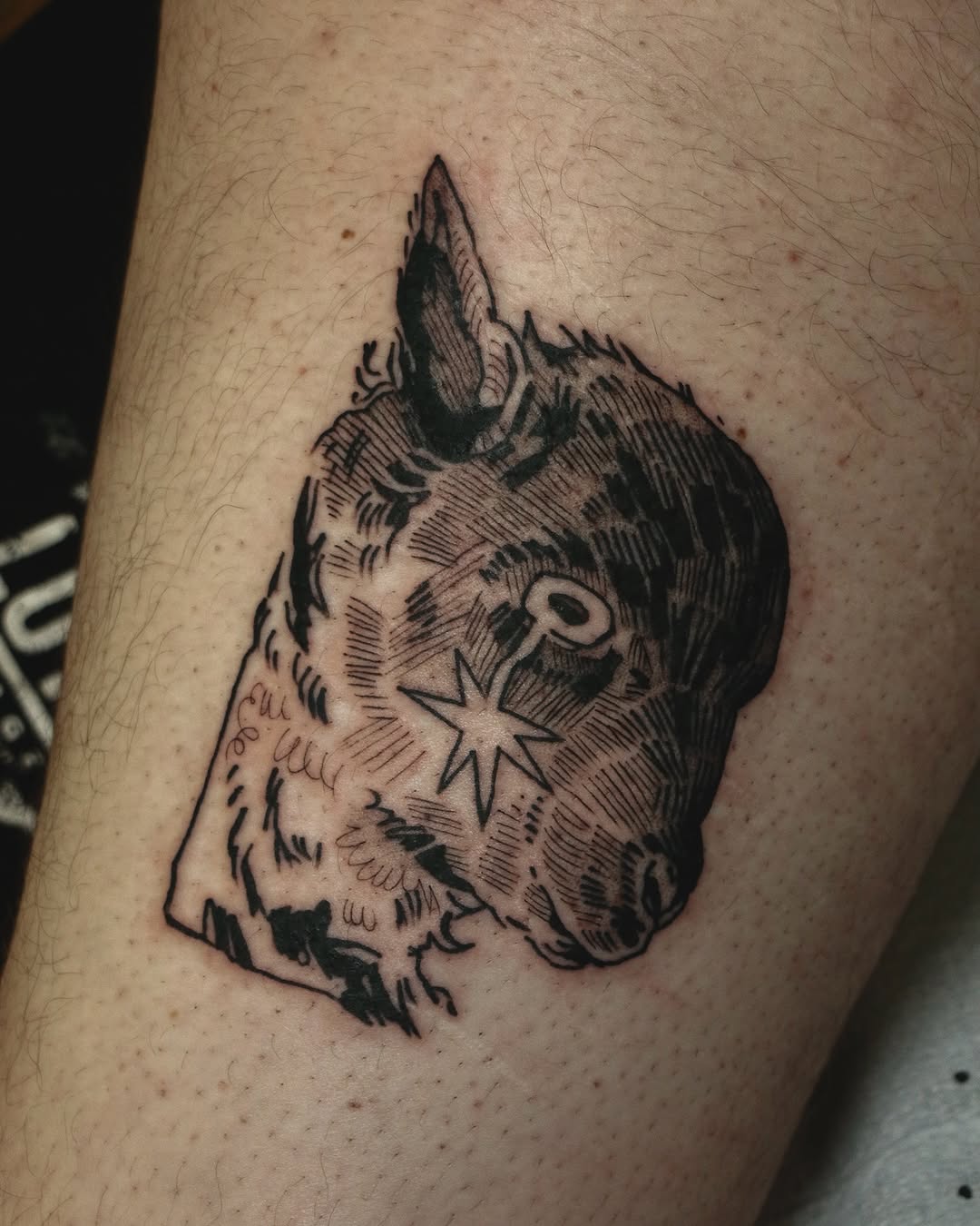 Tattoo by @baldpeaches — illustrative, black_and_grey