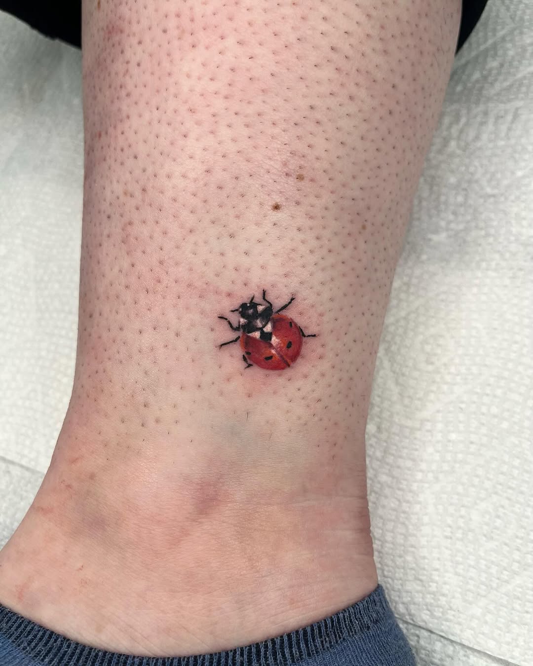 Tattoo by @zaktats — realism, fine_line