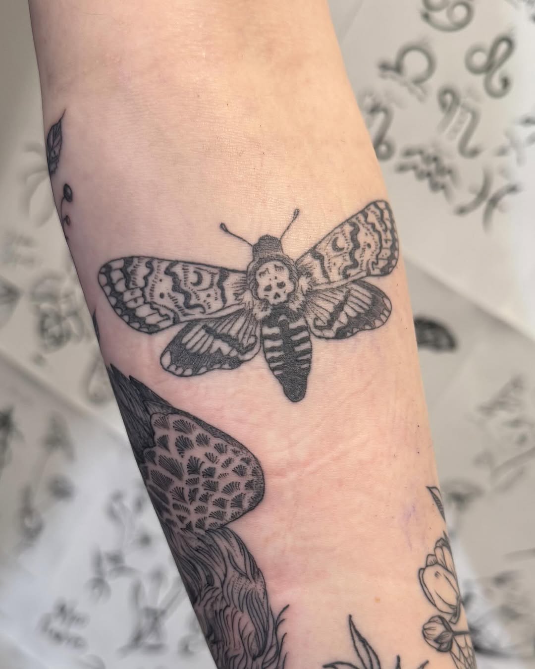 Tattoo by @thylacinetattoo — blackwork