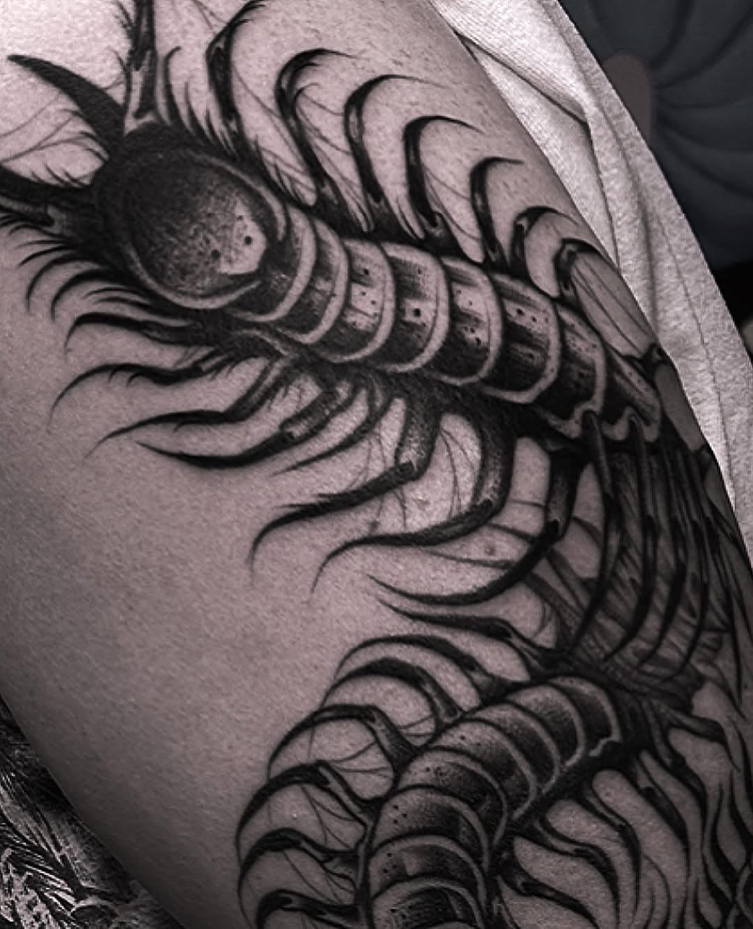 Tattoo by @tattoosbyanna_ — blackwork, illustrative
