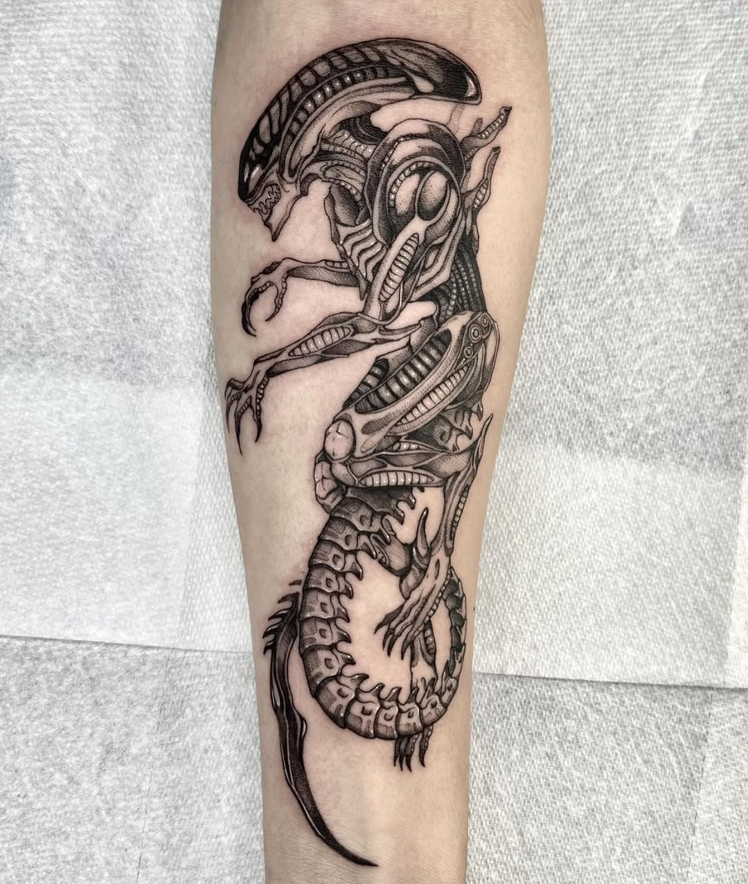 Tattoo by @deadgirlnextdoor — realism, black_and_grey