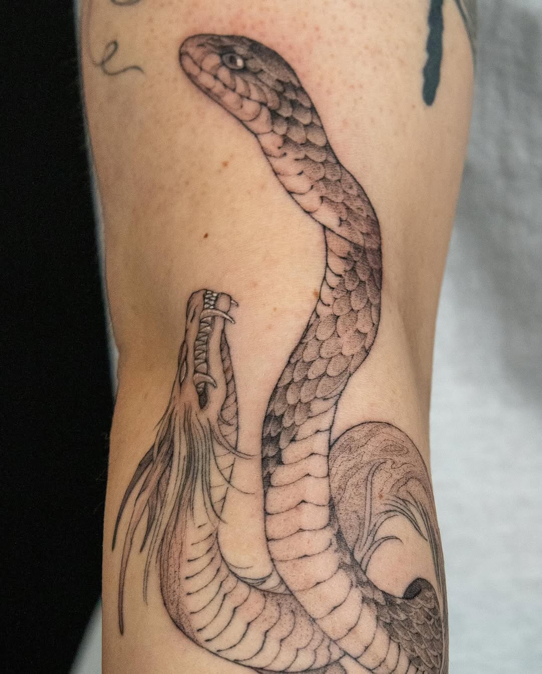 Tattoo by @cupidnegra β black_and_grey, illustrative