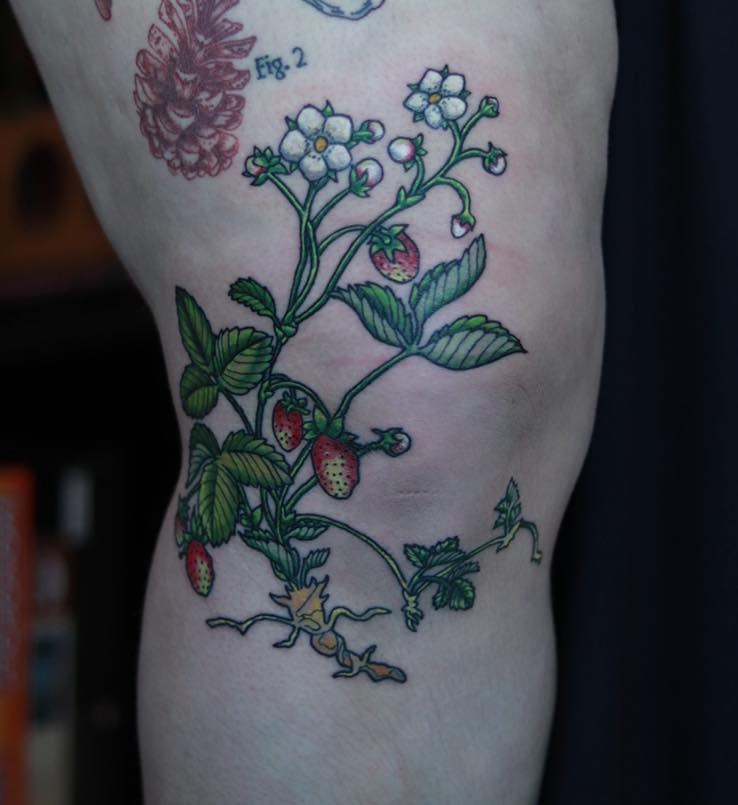 Tattoo by @janai.artistry β illustrative, botanical