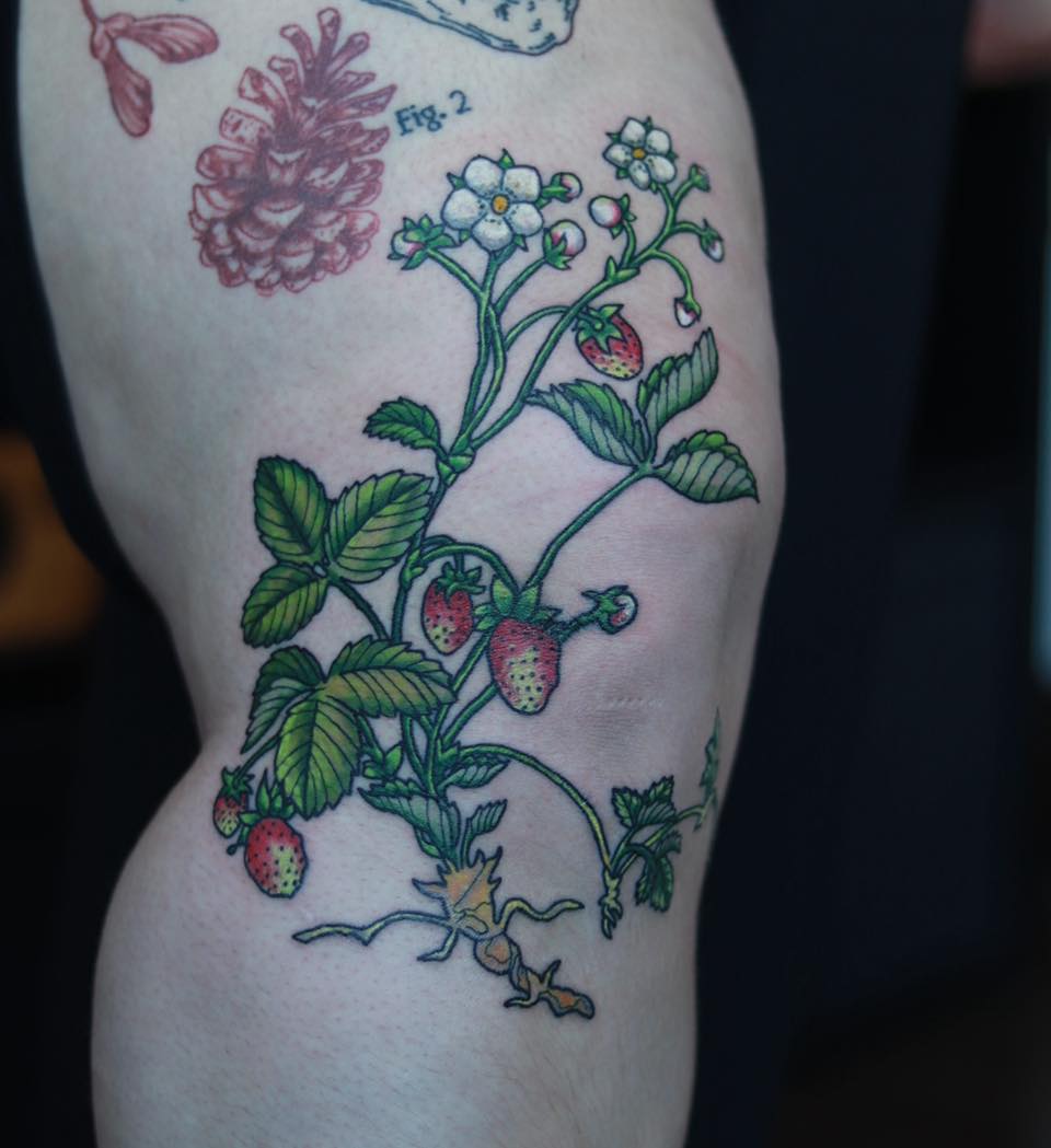 Tattoo by @janai.artistry β illustrative