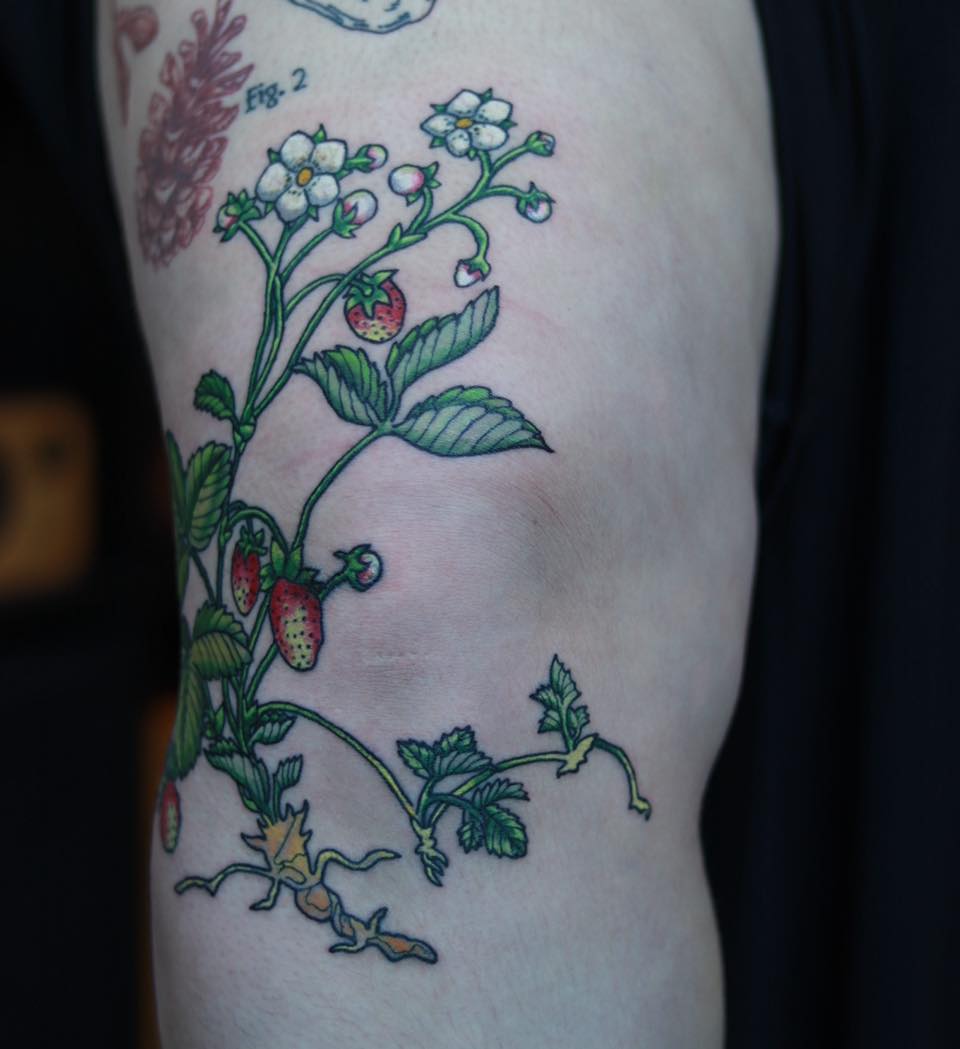Tattoo by @janai.artistry β illustrative, botanical