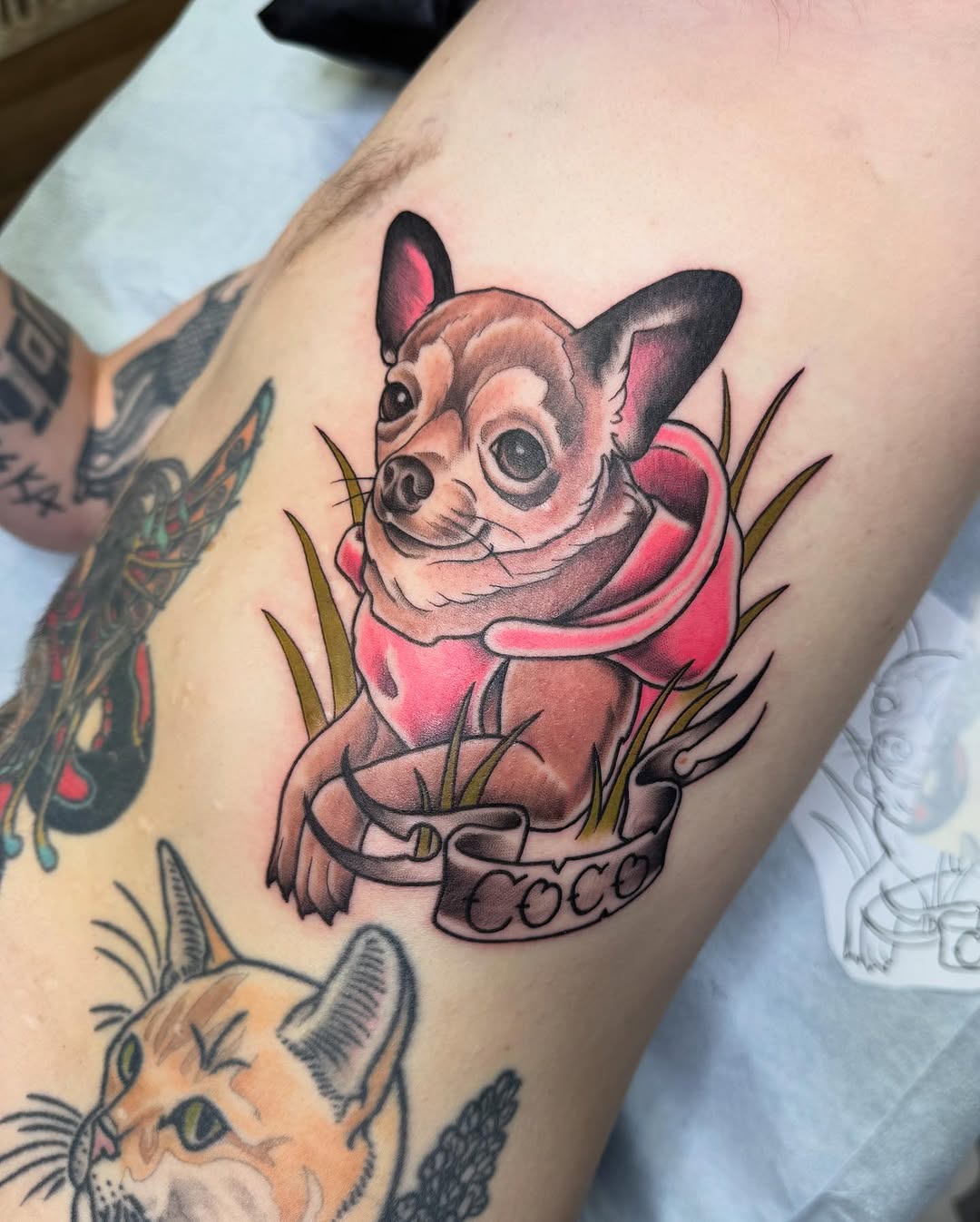 Tattoo by @tattoosbynikkipowills — american_traditional, realism