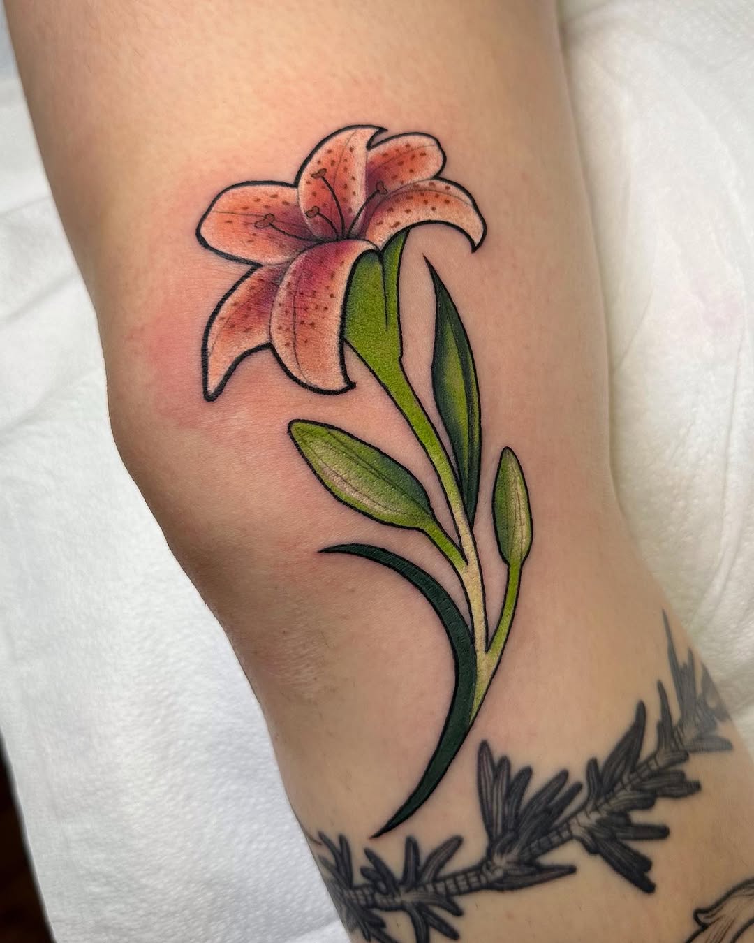 Tattoo by @frenchtoast.ghost โ neo_traditional