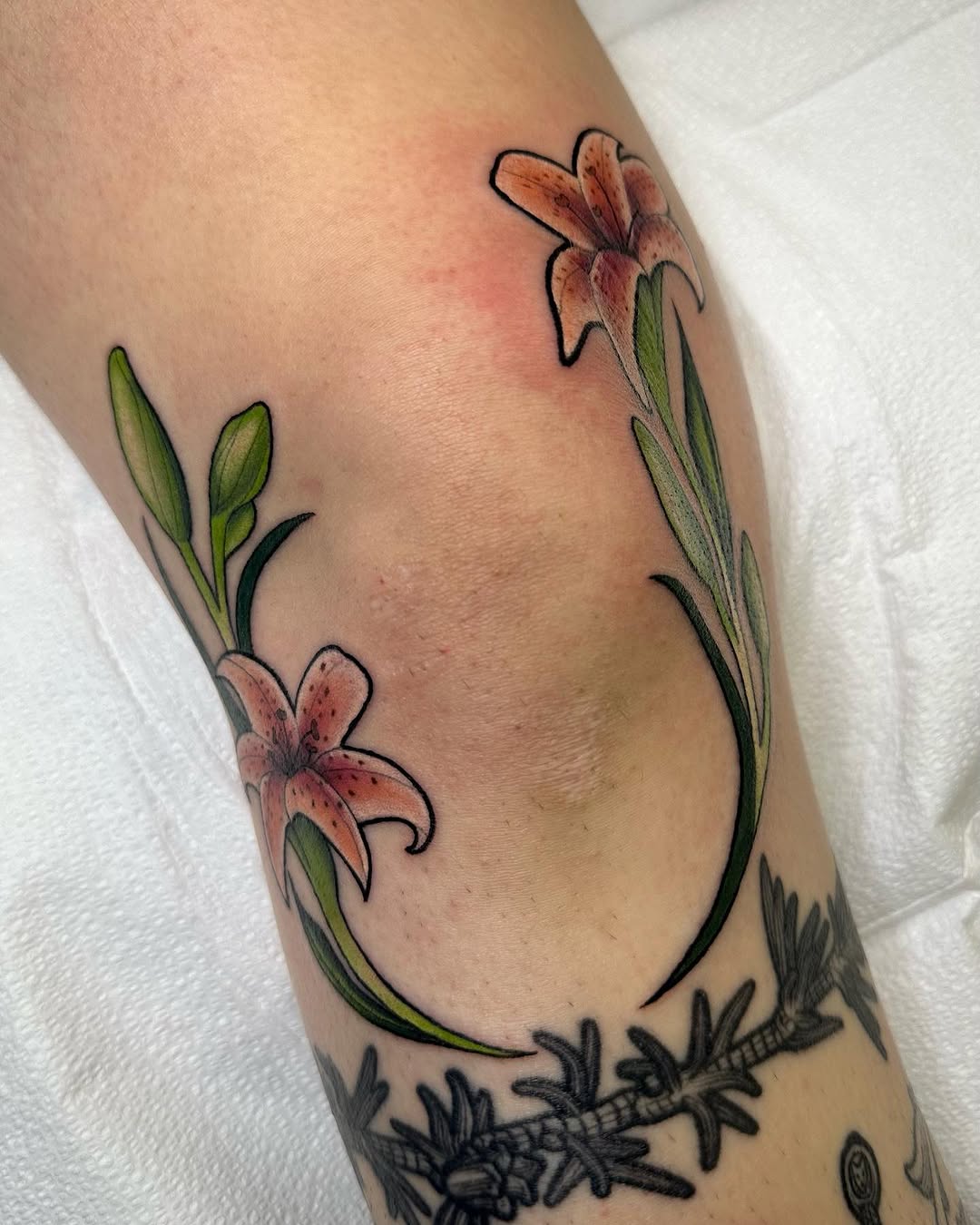 Tattoo by @frenchtoast.ghost โ realism, fine_line