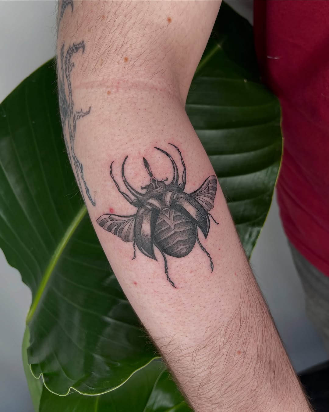 Tattoo by @nicol.ink_ — realism, black_and_grey