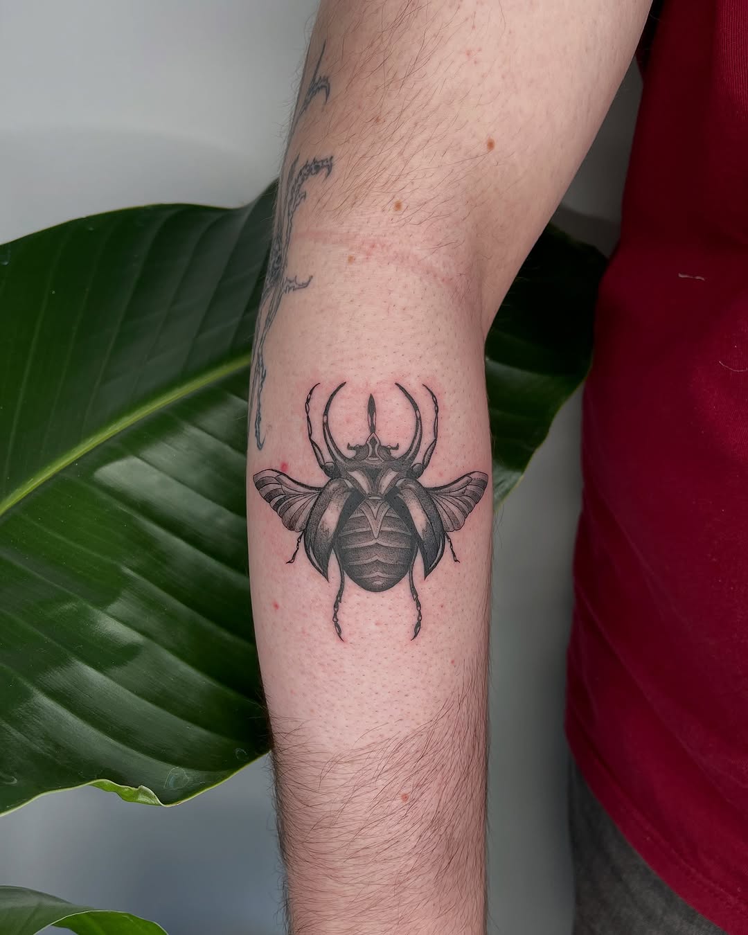 Tattoo by @nicol.ink_ — realism, black_and_grey