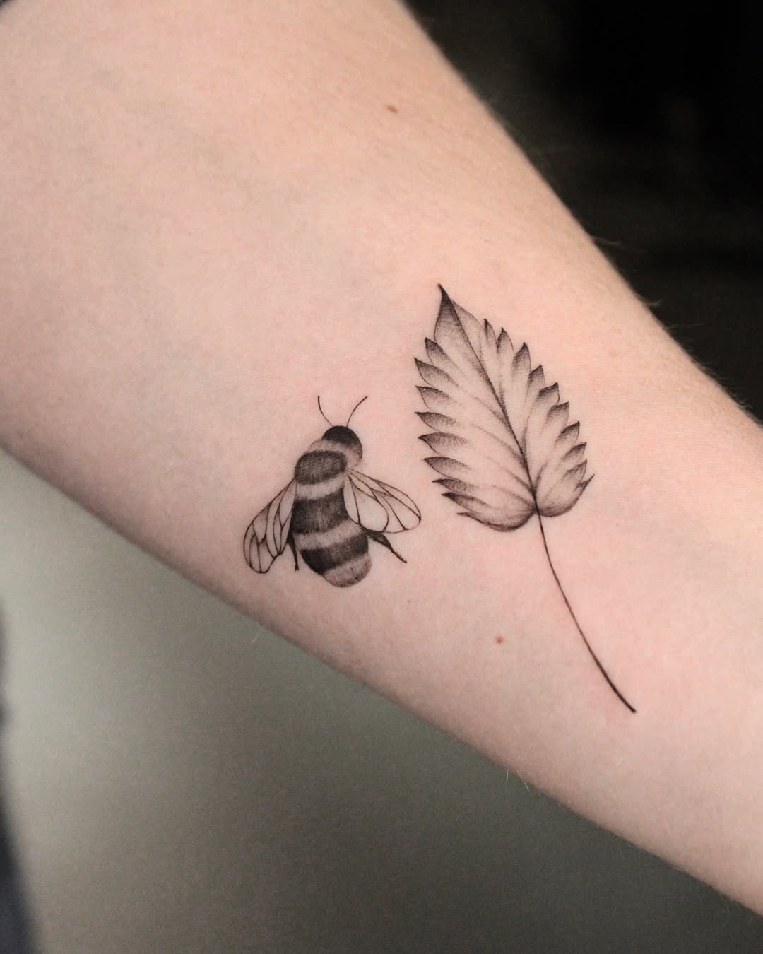 Tattoo by @ayalas._.ink — fine_line, illustrative
