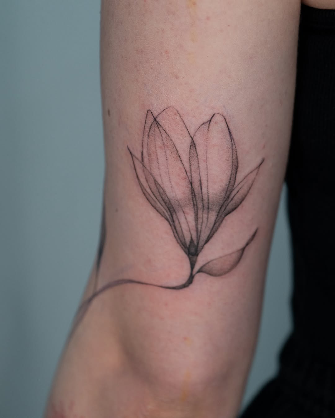 Tattoo by @ally.tatts — fine_line, black_and_grey