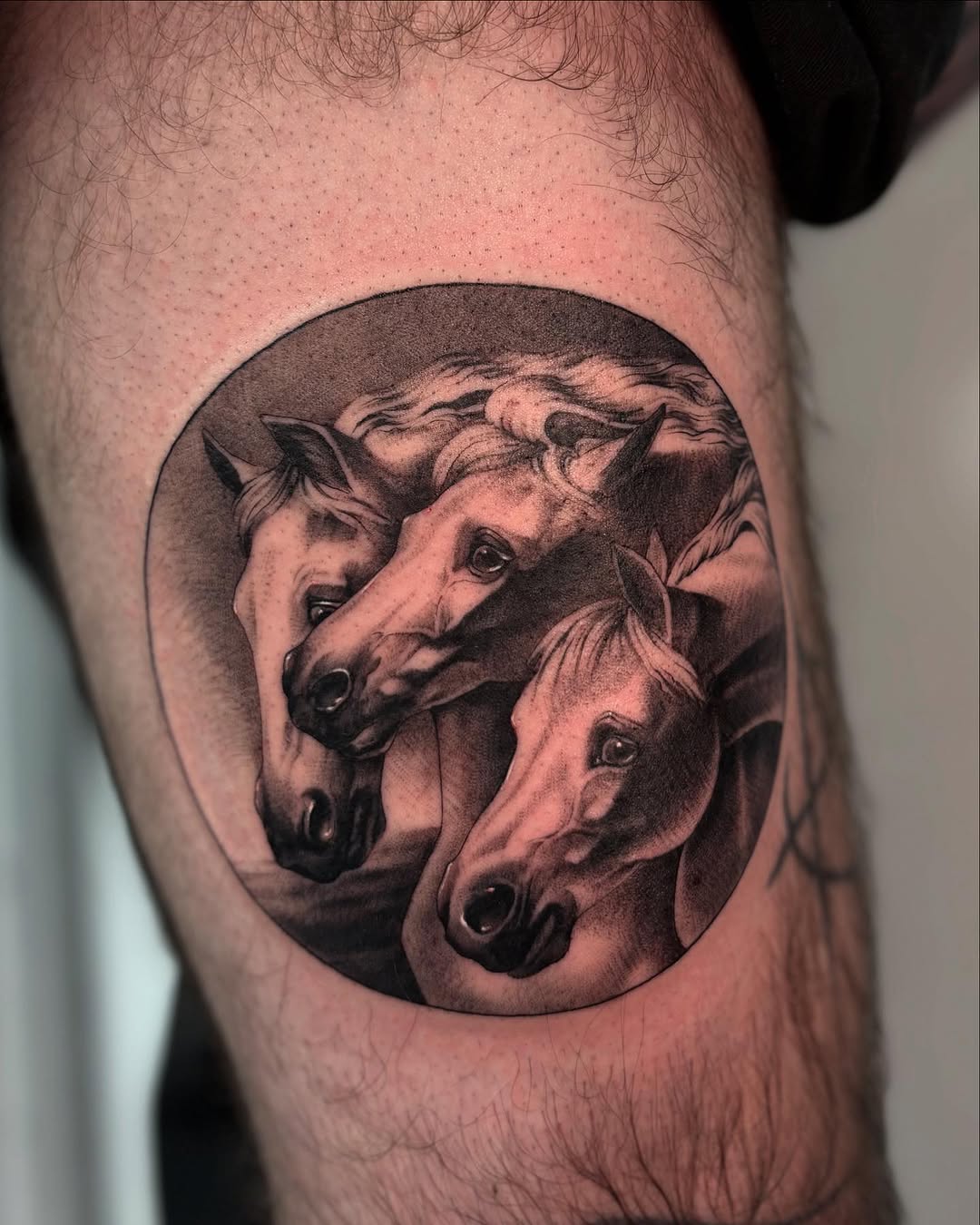 Tattoo by @tattoosbytessa_ — realism, black_and_grey