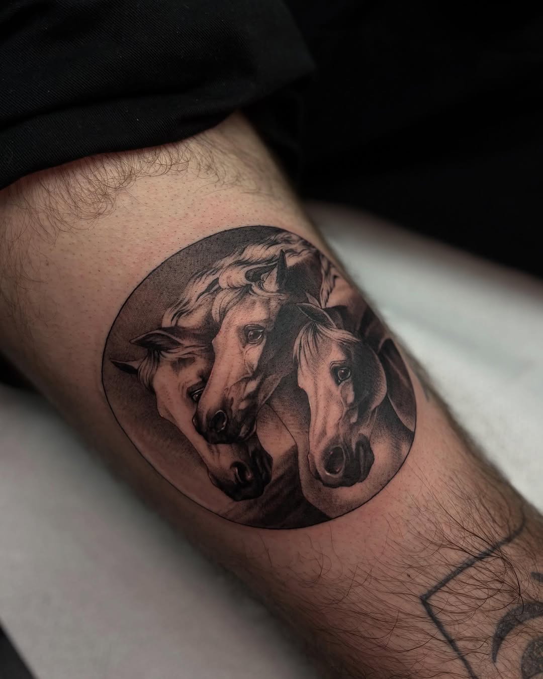 Tattoo by @tattoosbytessa_ — realism, black_and_grey