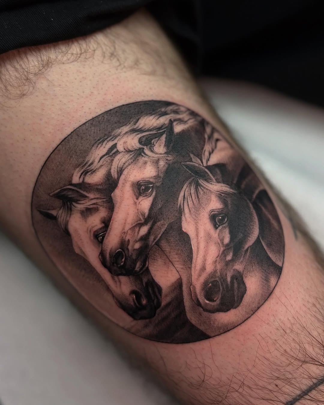 Tattoo by @tattoosbytessa_ — realism, black_and_grey