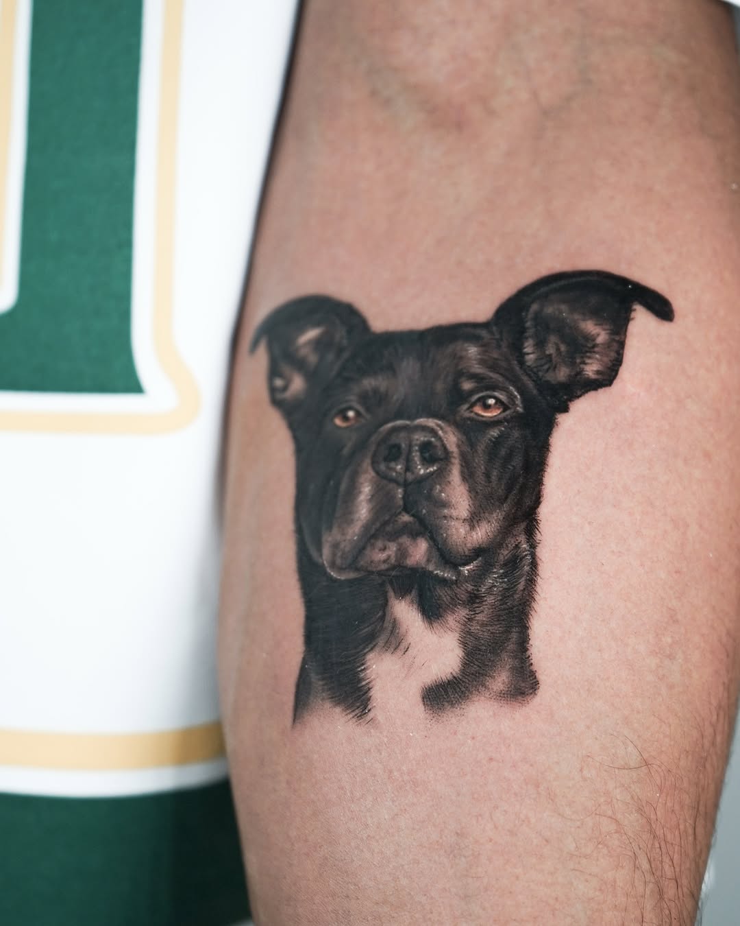 Tattoo by @falcontattooist — realism, black_and_grey