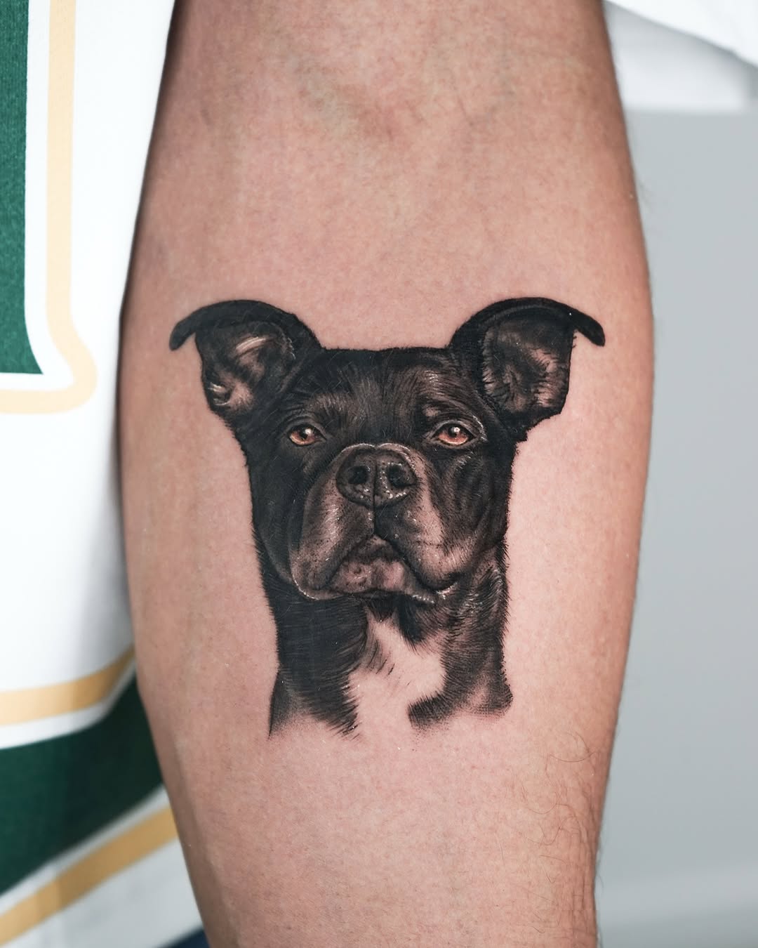 Tattoo by @falcontattooist — realism, black_and_grey