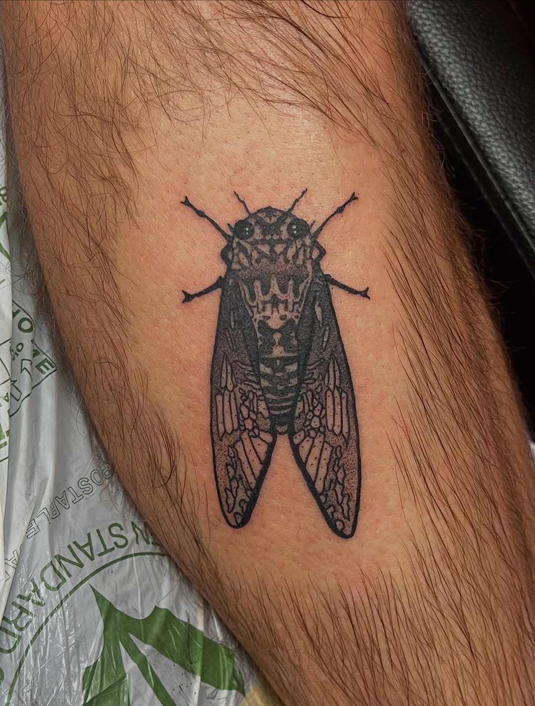 Tattoo by @autumnrosetattoos — dotwork, realism