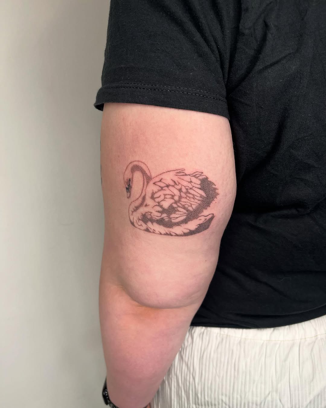 Tattoo by @toughbutton.tats — dotwork, illustrative