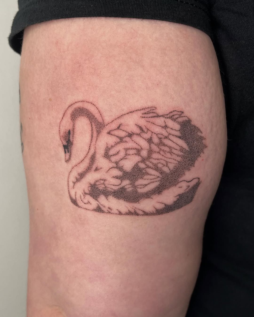 Tattoo by @toughbutton.tats — dotwork, illustrative