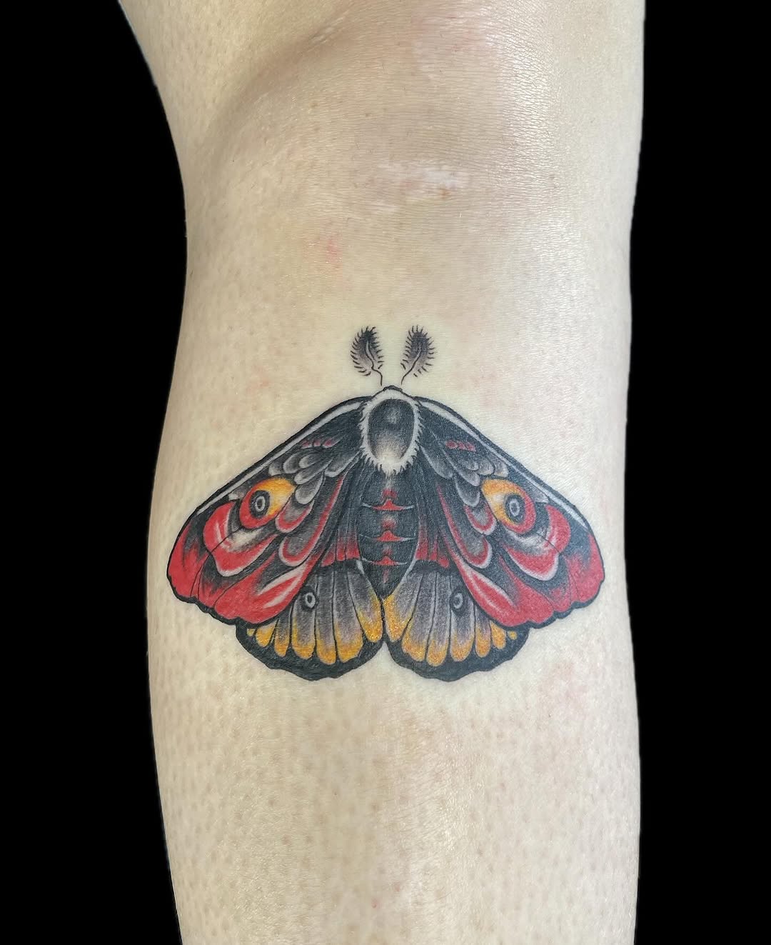 Tattoo by @alextattoos — neo_traditional