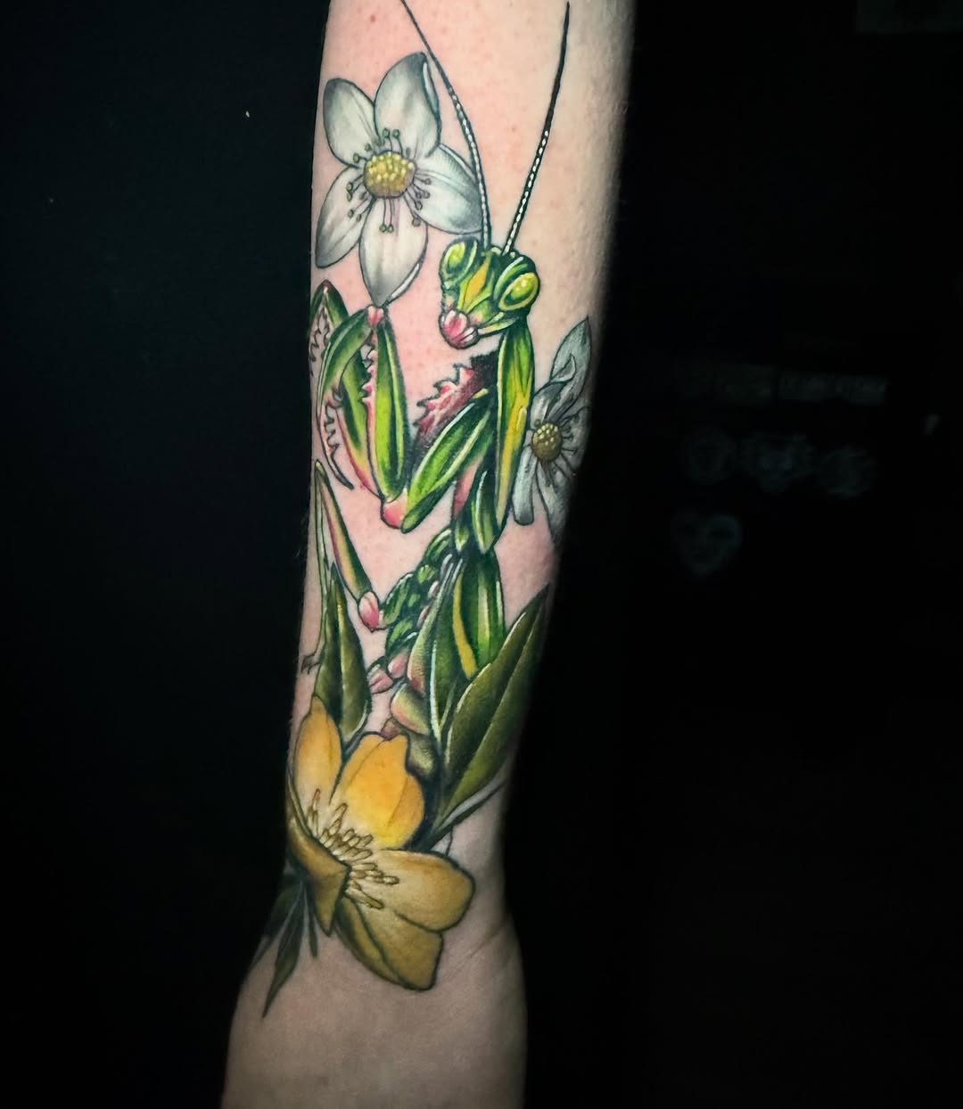 Tattoo by @aaronysidro — realism, neo_traditional