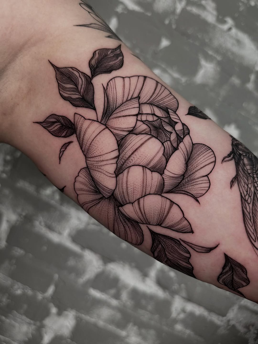 Tattoo by @dayana_tattooartist — fine_line, dotwork
