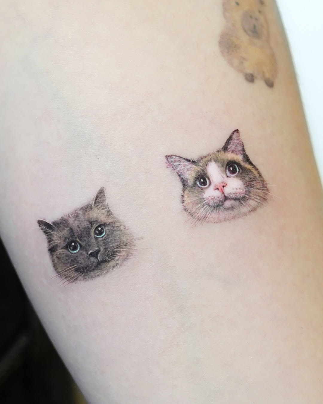 Tattoo by @misa_tat — realism, fine_line