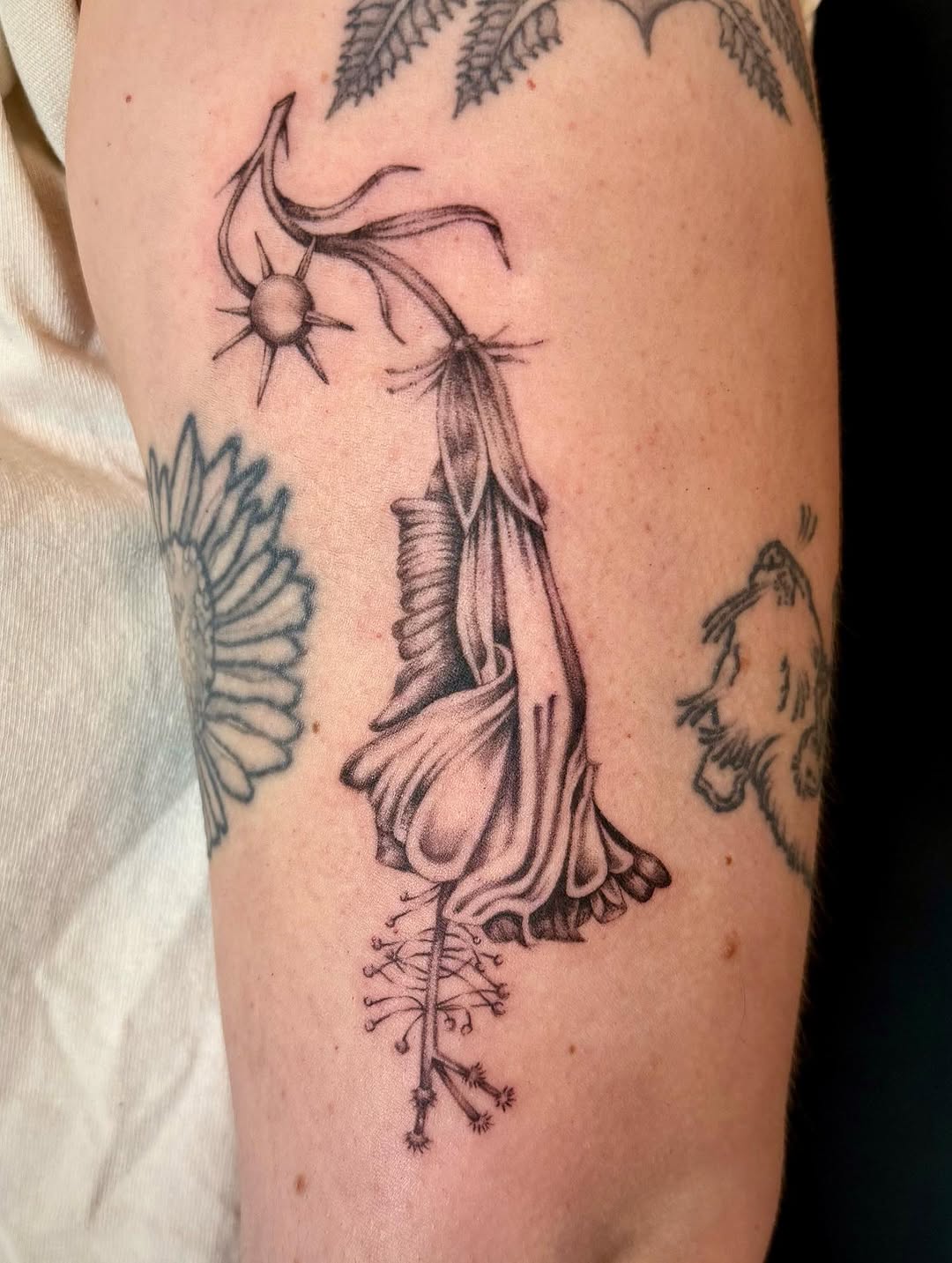 Tattoo by @dream.test.baby — illustrative, black_and_grey