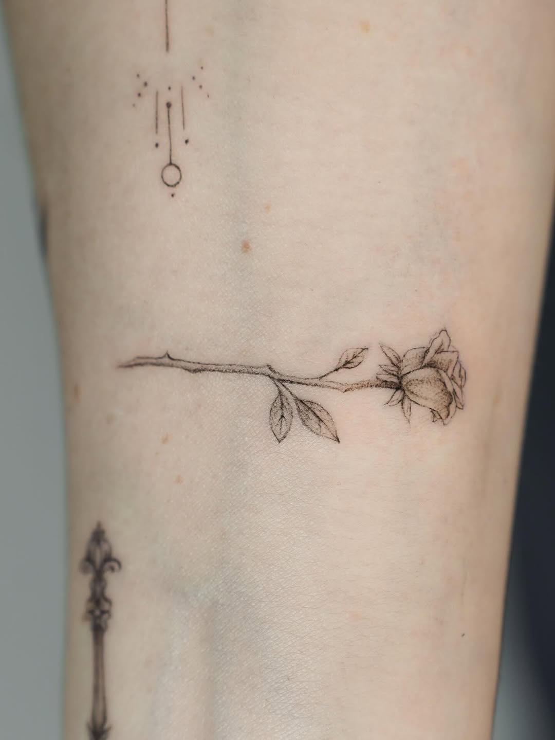 Tattoo by @lolavtattoo — fine_line