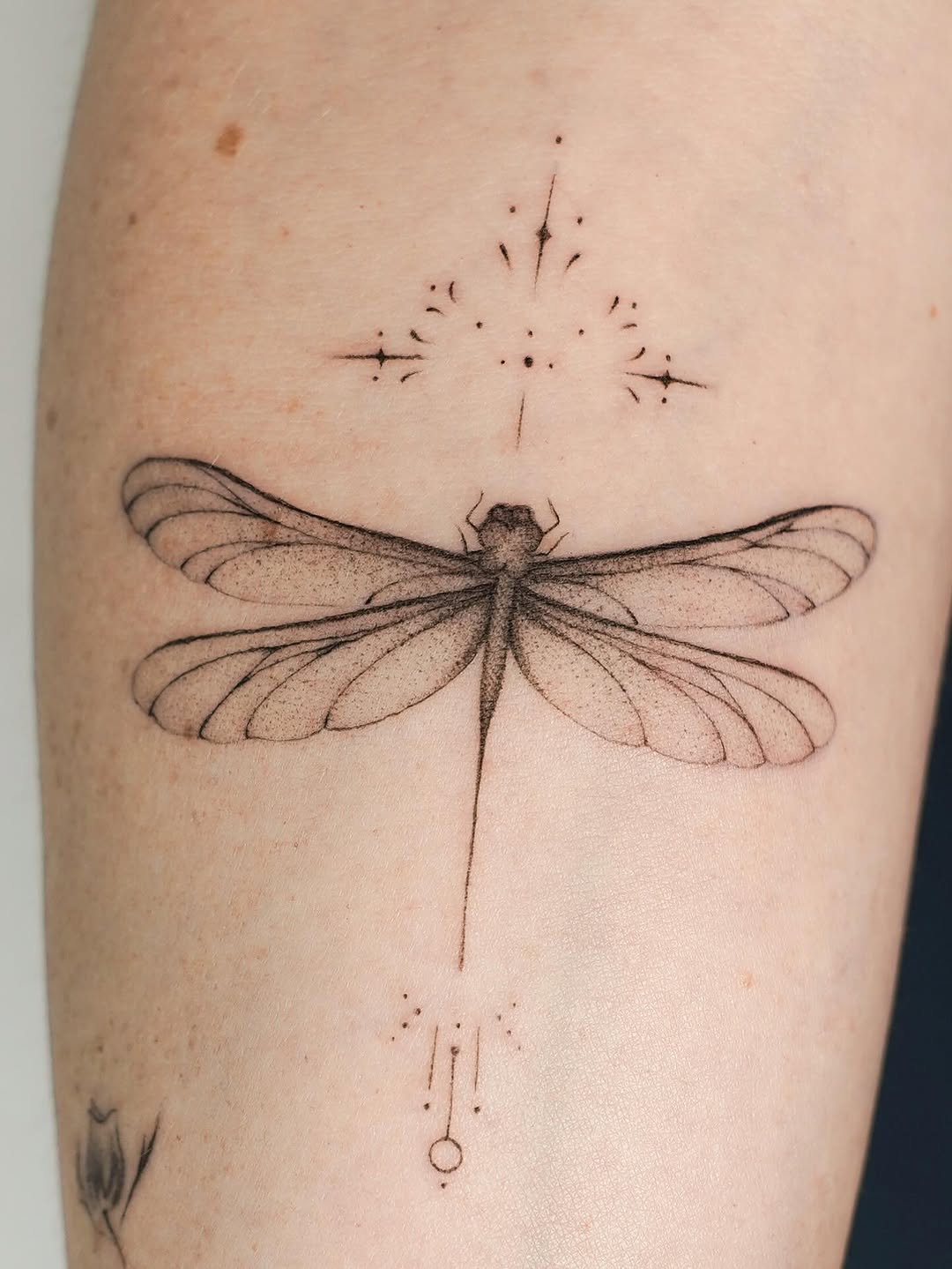 Tattoo by @lolavtattoo — fine_line, dotwork